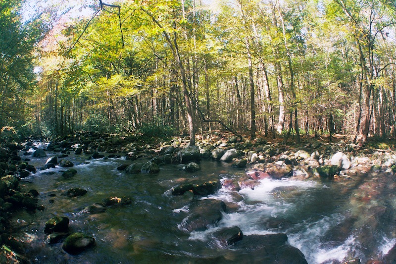 Middle Prong Little Pigeon River